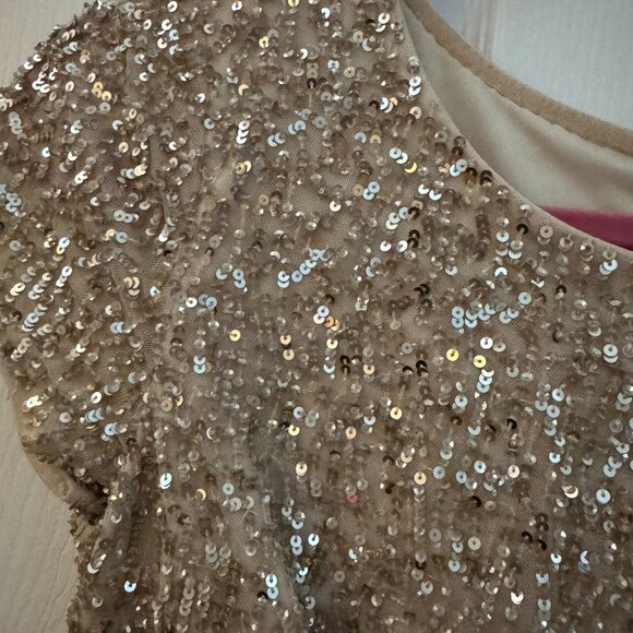 Rose Gold Sequin cocktail Dress with fringe on the bottom - Picture 6 of 9